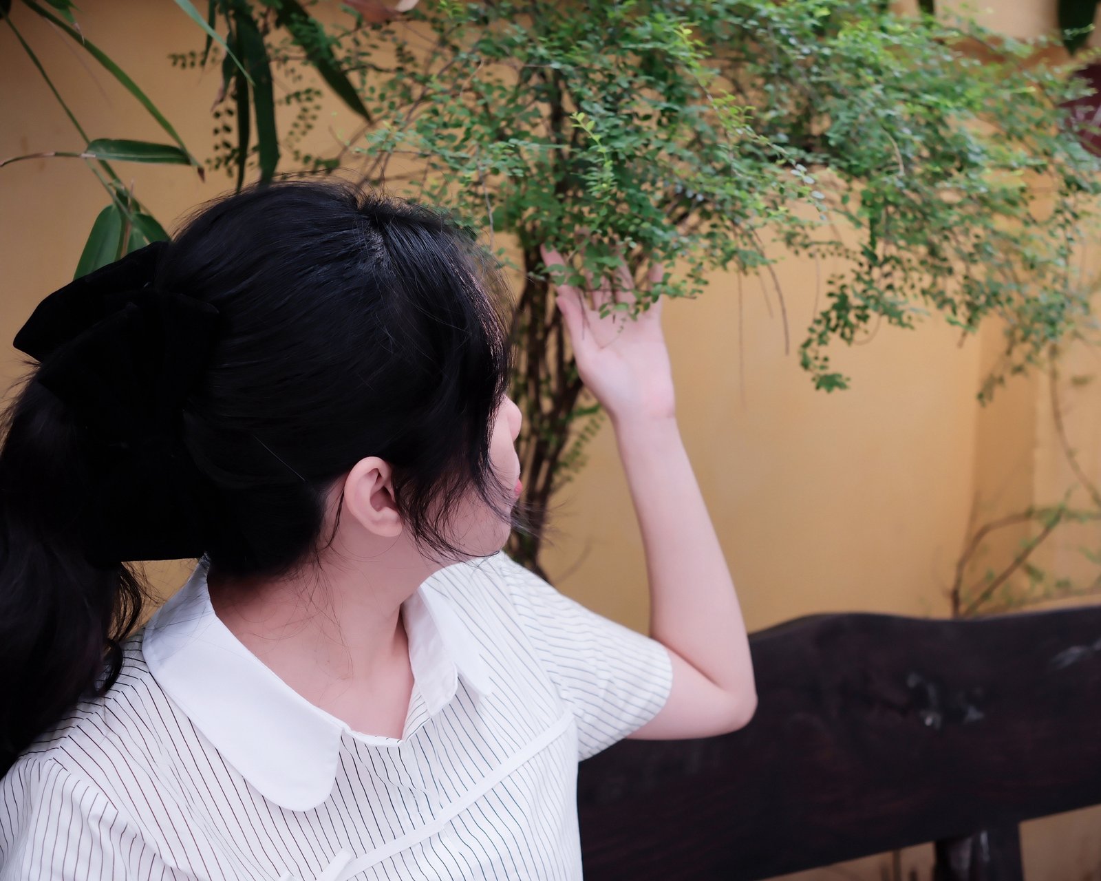 Áo Sơ Mi Cổ Sen Kẻ Sọc Cài Nút Dọc Đính Nơ Tay Ngắn - Ảnh 8